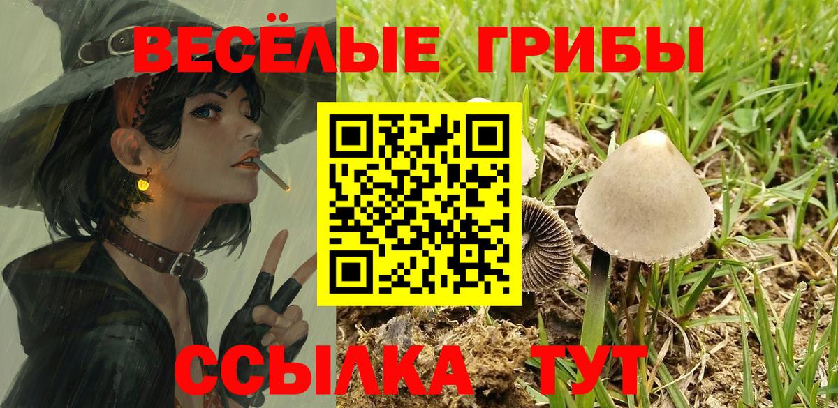 Галлюциногенные грибы Cubensis Подольск